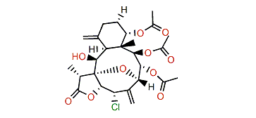 Fragilisinin D